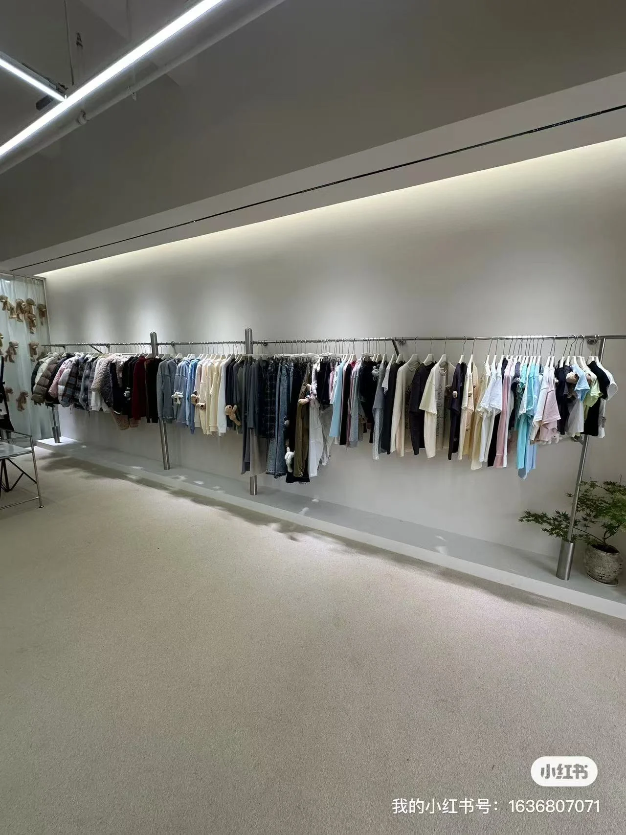 Clothing arranged along the wall of the Seasang showroom; original Xiaohongshu watermark retained